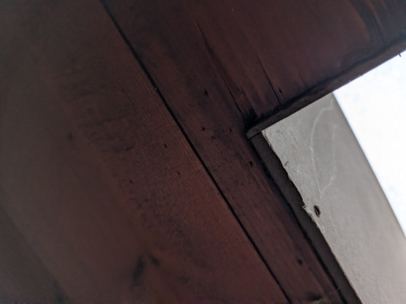 Afbeeldingslocatie: https://tweakers.net/i/Z2gaawoQExWRe9E5gkL9bQ5QVtE=/800x/filters:strip_icc():strip_exif()/f/image/e63BE5tbiyAy2ni5YFeqAouR.jpg?f=fotoalbum_large