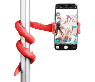 Celly Snake