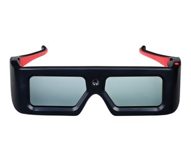 Optoma 3D Glasses ZD101