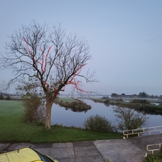 Afbeeldingslocatie: https://tweakers.net/i/Z5cK843jO52Po400BzQwrXhlXIM=/232x232/filters:strip_icc():strip_exif()/f/image/9aNLDOIsJdelcRFn63NNkTgA.jpg?f=fotoalbum_tile
