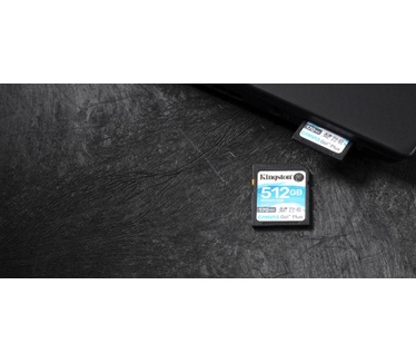 Kingston Canvas Go! Plus