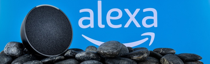 Goedkoop maar cloudafhankelijk hulpje