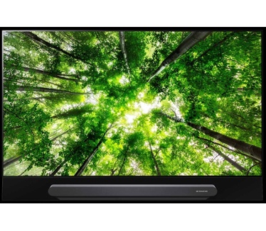 LG OLED65G8PLA Zwart