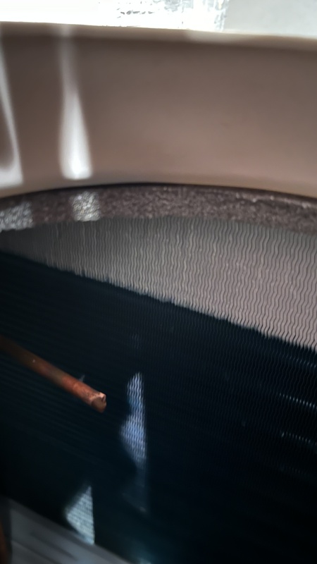 Afbeeldingslocatie: https://tweakers.net/i/ZJq-nYZ3xUOZHnCoarfZ_UbZn8o=/x800/filters:strip_icc():strip_exif()/f/image/N71q2tlVhvqldzDnlnmR4vnZ.jpg?f=fotoalbum_large