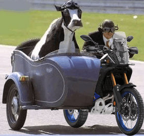 Afbeeldingslocatie: https://tweakers.net/i/ZKErnkZrFuhoEyqdWzEO4TxFkOY=/full-fit-in/4000x4000/filters:no_upscale():fill(white):strip_exif()/f/image/TxyzscvATON0TFobAddeGagC.png?f=user_large