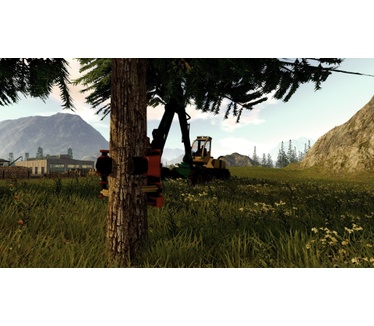 Forestry 2017, Windows