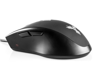 Feenix vitesse