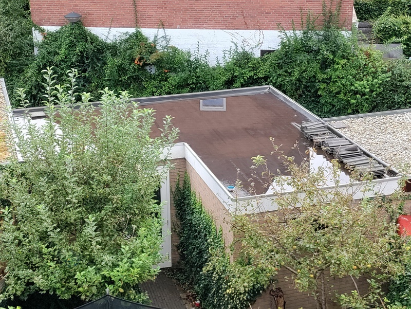 Afbeeldingslocatie: https://tweakers.net/i/ZLwOVKwWMmRh6usbM7kIOyvUTxU=/800x/filters:strip_icc():strip_exif()/f/image/gTITXygkYqn4ME6T1XrVwoho.jpg?f=fotoalbum_large