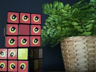 Cameravergelijking - 2x zoom