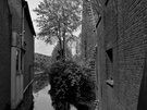 Galerij samplefoto's - camera P9 