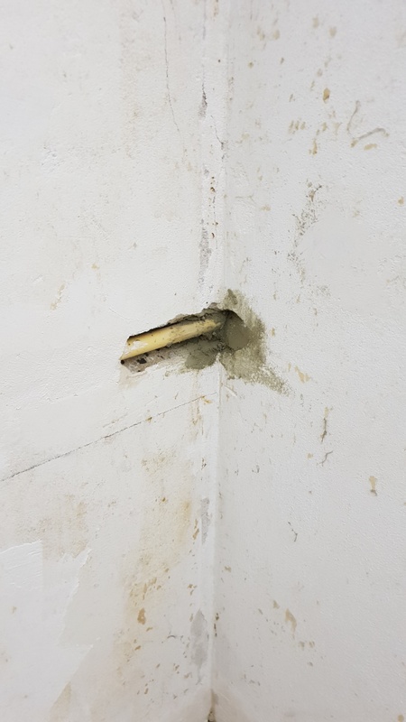 Afbeeldingslocatie: https://tweakers.net/i/ZQ2ueKpsWWdnimnMr7HUF1RmNeA=/x800/filters:strip_icc():strip_exif()/f/image/S4iFBz4npt4eudaK9LUg54Ly.jpg?f=fotoalbum_large