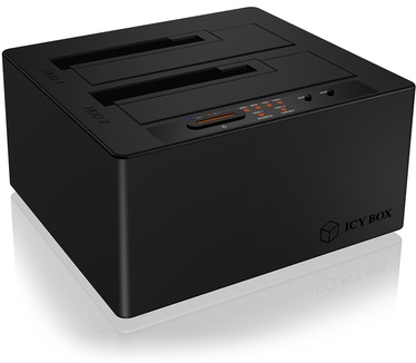 Raidsonic IB-121CL-C31