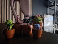 Cameravergelijking - Primair