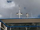 Foto gemaakt met HTC U12+ voor vergelijking in review U12+