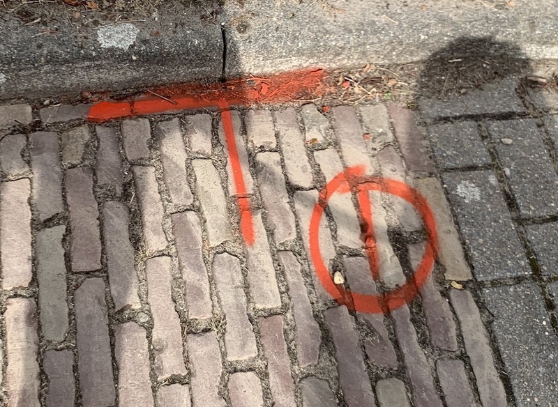 Afbeeldingslocatie: https://tweakers.net/i/ZXn-87BcGdkZTJBOGpk4sufU94Y=/800x/filters:strip_icc():strip_exif()/f/image/olzyvDFpYHtXEaX3RAkaiIVj.jpg?f=fotoalbum_large