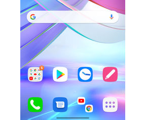LG Wing software