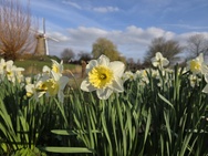 Xiaomi 17 Cameratest - Primair (overdag)