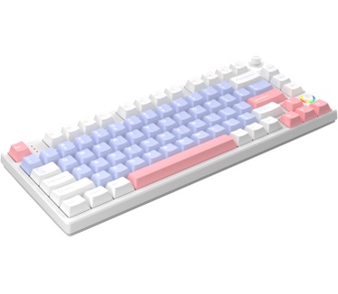 Helloganss HelloG HS75T Wh/Pu Gat Yellow RGB WL US