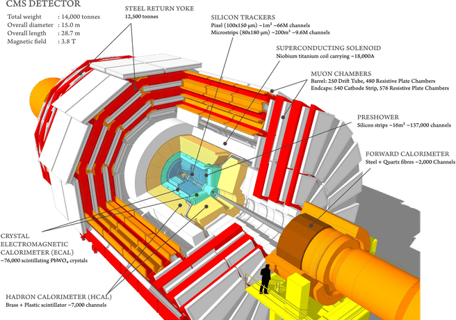 LHC CMS
