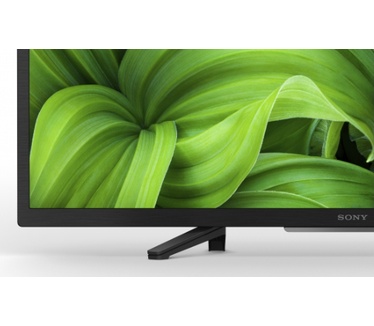 Sony FWD-32W8001