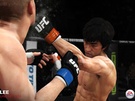 EA Sports UFC