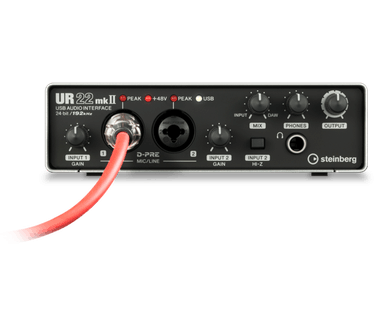 Steinberg UR22mkII