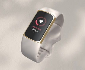 Biaya Fitbit 5