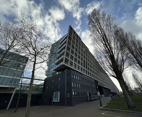 Sony Xperia 1 IV cameratest dagfoto's - ultragroothoekcamera