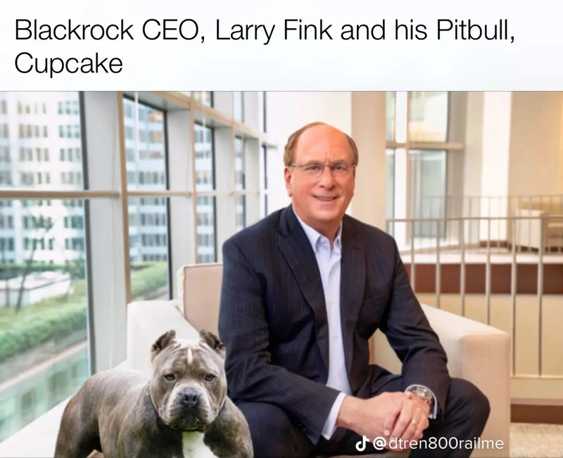 Afbeeldingslocatie: https://tweakers.net/i/ZlkCzby8kX4_n1l18Ci_oilkpWc=/800x/filters:strip_icc():strip_exif()/f/image/IZoVOM4K2Obfh9uvagiKY50S.jpg?f=fotoalbum_large