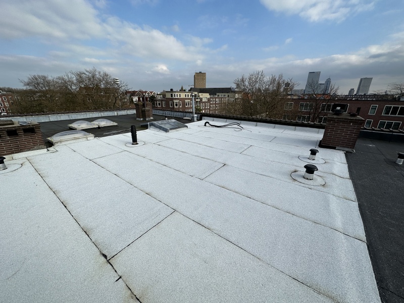 Afbeeldingslocatie: https://tweakers.net/i/Zlwp-9CMtEpn86U7k4540Ww-e48=/800x/filters:strip_icc():strip_exif()/f/image/cAqX3jW01k4Sw5tUkNO3QVAx.jpg?f=fotoalbum_large