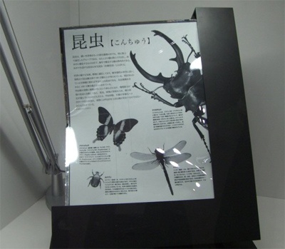 Sony e-paper 13,3inch
