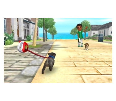 nintendogs + cats: Golden Retriever & New Friends