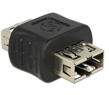Delock 2xUSB2.0-A