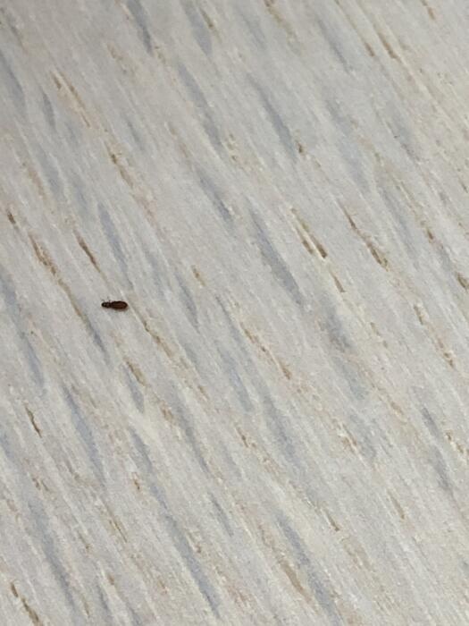 Afbeeldingslocatie: https://tweakers.net/i/ZrrKf1rI3TDB8xRLJGlsLac3Aq0=/full-fit-in/4920x3264/filters:max_bytes(3145728):no_upscale():strip_icc():fill(white):strip_exif()/f/image/b9uUZRY78TfKpqG1zJds4ZMr.jpg?f=user_large