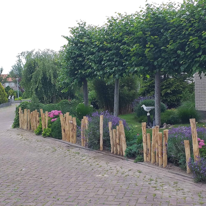 Afbeeldingslocatie: https://tweakers.net/i/Zs4Qe4SJ18xtKR2fQdVA0Rnpkwo=/800x/filters:strip_icc():strip_exif()/f/image/VoLT2rOUHet34pen9MyZn1ae.jpg?f=fotoalbum_large