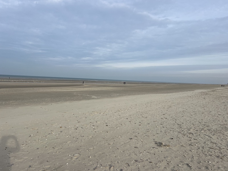 Afbeeldingslocatie: https://tweakers.net/i/Zt09V27VBnrRuskIjAYHpWEyCeI=/800x/filters:strip_icc():strip_exif()/f/image/PC8akJlfWD0SGiYLMvYZ74hE.jpg?f=fotoalbum_large