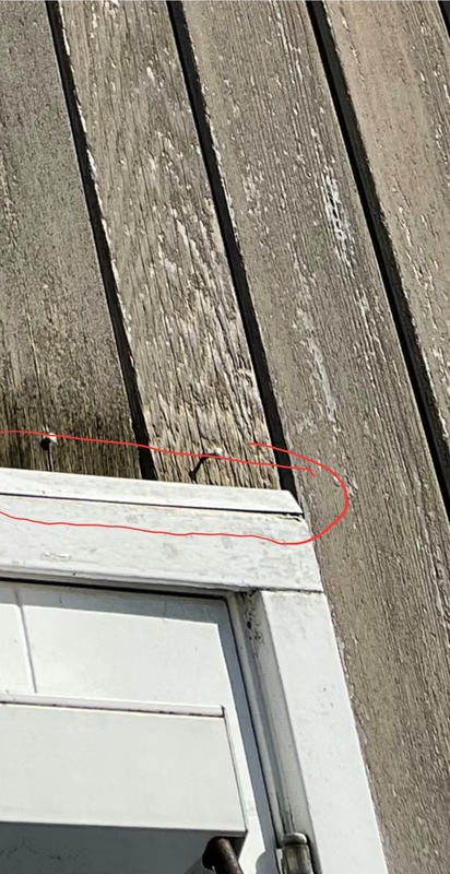 Afbeeldingslocatie: https://tweakers.net/i/ZujFO5XVBPxscSNzco5sBabYCuc=/x800/filters:strip_icc():strip_exif()/f/image/CDP4RBzCrbRRoBmQRyMLxTL7.jpg?f=fotoalbum_large