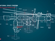 European Robotic Arm