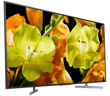Sony KD-65XG8196 Zwart