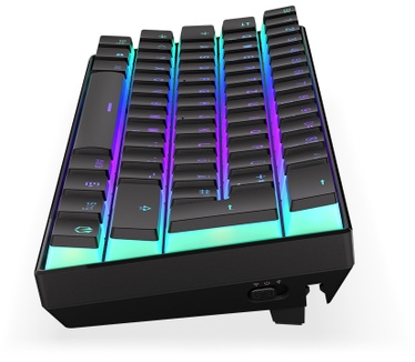 ENDORFY Thock Compact