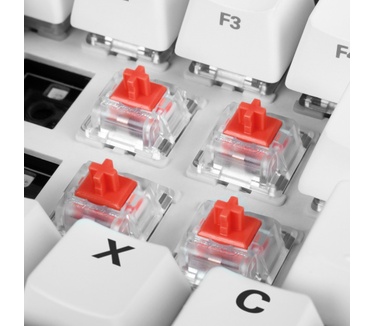 Sharkoon Linear Gateron PRO RED