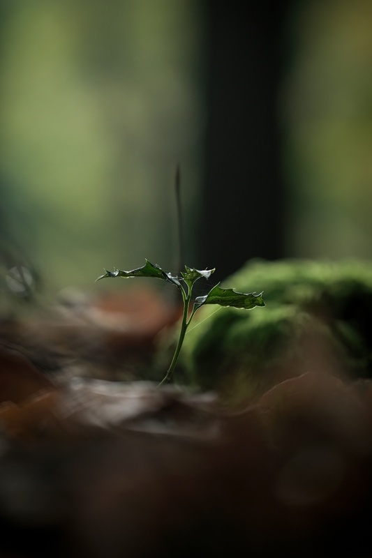 Afbeeldingslocatie: https://tweakers.net/i/_2vucJ2PSyl1VOZMQLWsCIIjBqk=/x800/filters:strip_icc():strip_exif()/f/image/HaF3htEPC6AtcGq1O9ZGSDII.jpg?f=fotoalbum_large