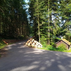 Afbeeldingslocatie: https://tweakers.net/i/_3OrnpP8_PzZVTpwgZJsw4ymyXE=/232x232/filters:strip_icc():strip_exif()/f/image/9Kerl2KQWNzKdWVwRcyZvhwo.jpg?f=fotoalbum_tile