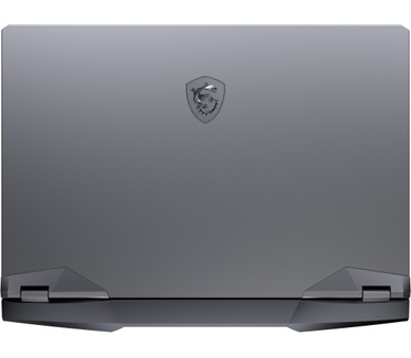 MSI GE66 10SE-677NL Raider