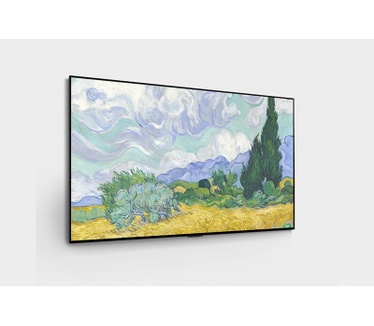 LG OLED55G1RLA Zwart