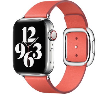 Apple 40mm Pink Citrus Modern Buckle - Medium