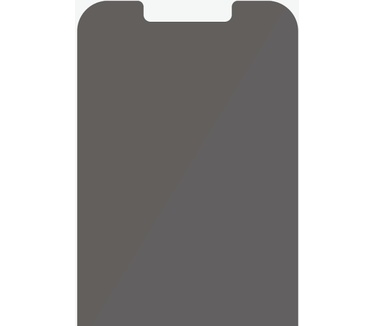 PanzerGlass 2743 (iPhone 13 Pro Max)