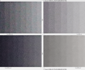 DSLRs ISO 12800
