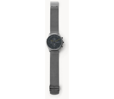 Skagen SKT3002 (Grijs)