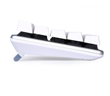 Qisan Qisan MagicForce 68 Zilver/Wit (Brown switches)
